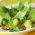 Salada verde com abacaxi e molho de gengibre